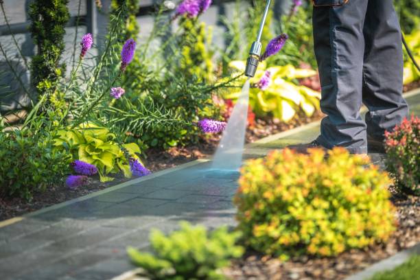 Best Parking Lot and Garage Cleaning  in Pleasant Valley, MO