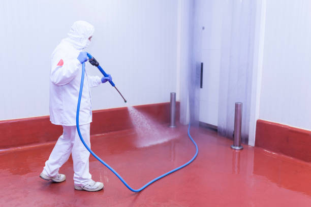 Best Roof Washing  in Pleasant Valley, MO
